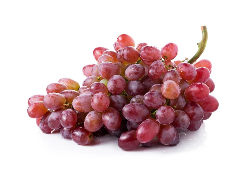 Gourmet Trauben kernlos rot – Hofer