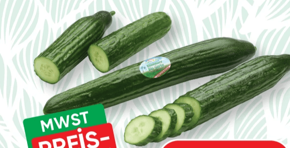 Bio-Gurke, per Stück SPAR Natur*pur – Spar