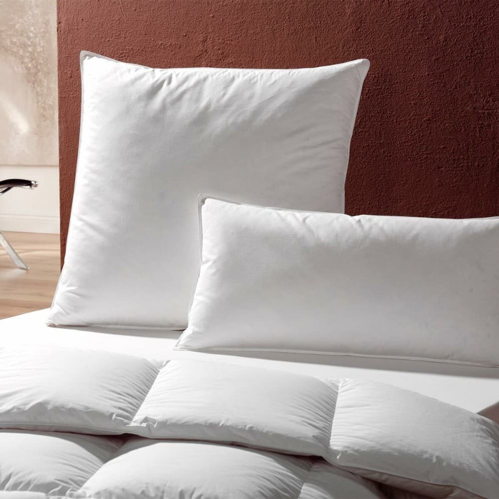 Diverse Kopfkissen ca. 40x80cm Angebot bei Mömax