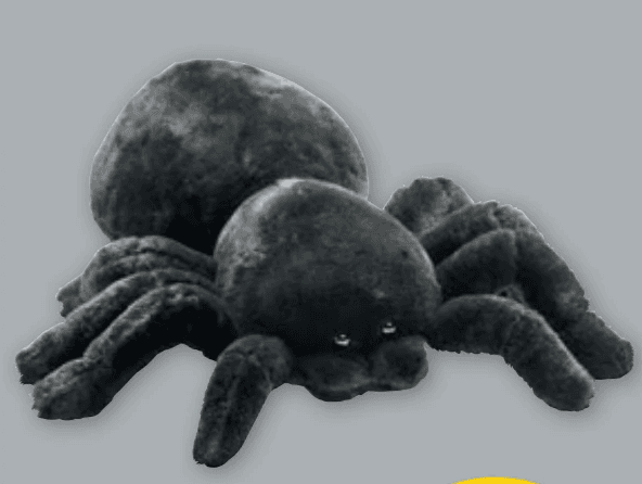 Plüsch-Spinne – Penny