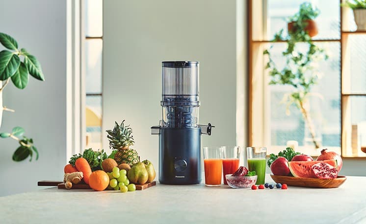 Slow Juicer MJ-L900 Panasonic – Müller