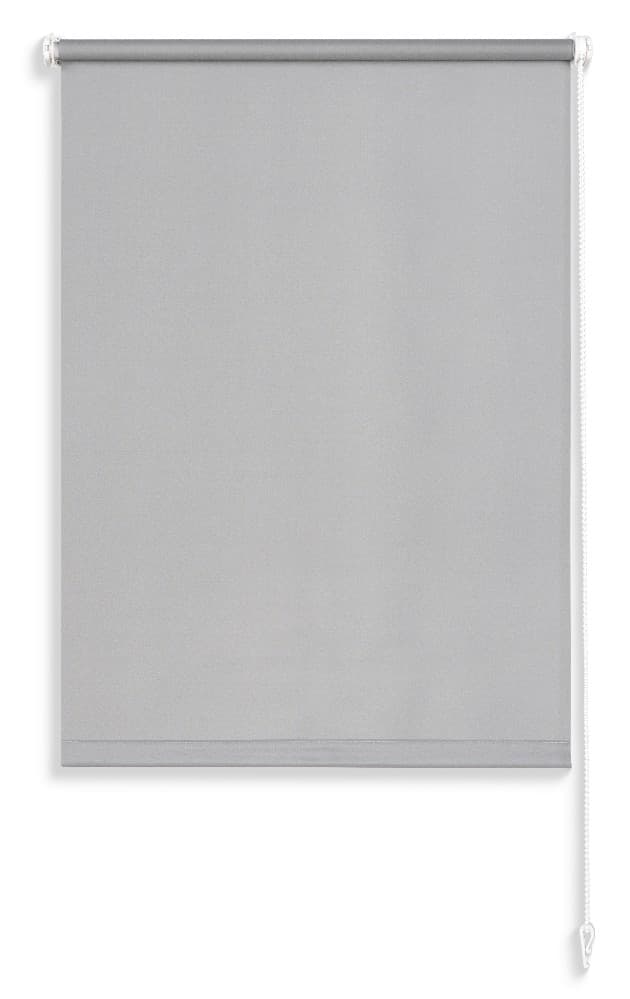 Rollo "Mona" ca. 45x160 cm Luca Bessoni Angebot bei Möbelix