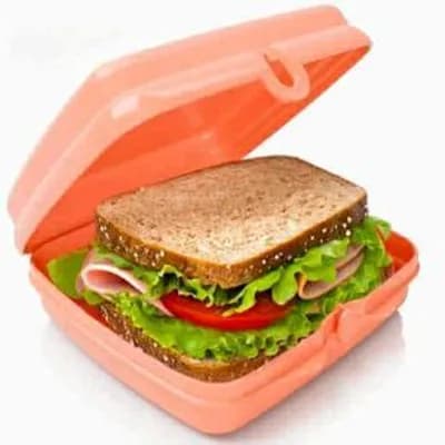 Tupperware Sandwich Box, 550 ml – Eurospar