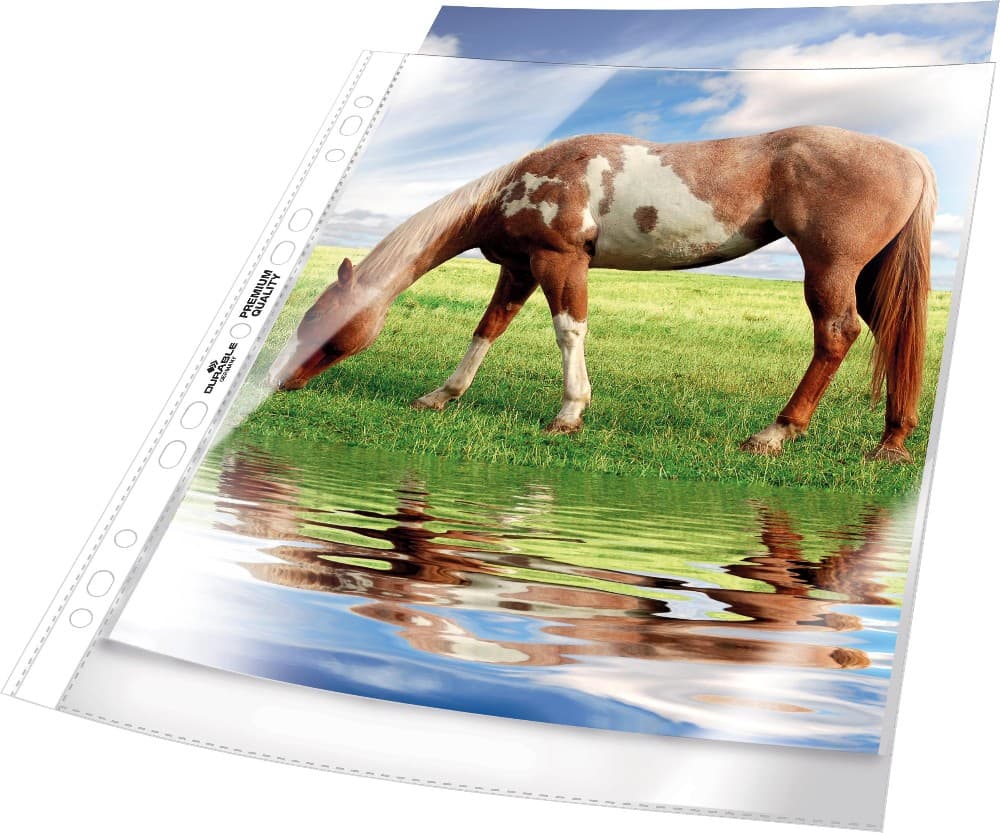 Prospekthüllen 50 Stück DURABLE Angebot bei Müller
