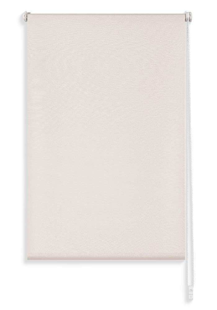 Rollo Mona ca. 45x160 cm Luca Bessoni Angebot bei Möbelix