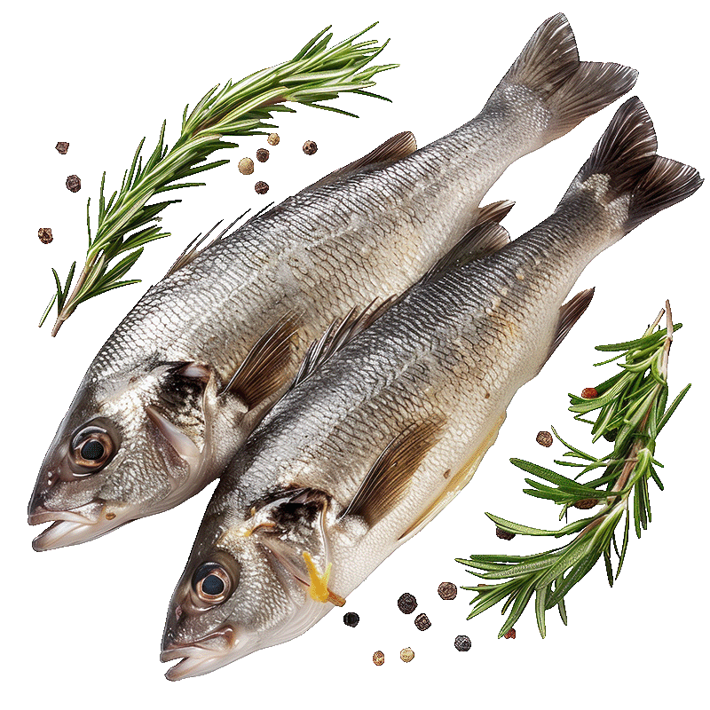 Kategorija proizvoda Frischer Fisch & Meeresfrüchte