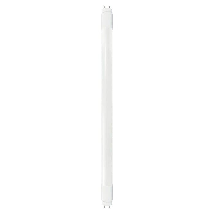LED-Röhre T8 60 cm 60 cm Angebot bei Bauhaus
