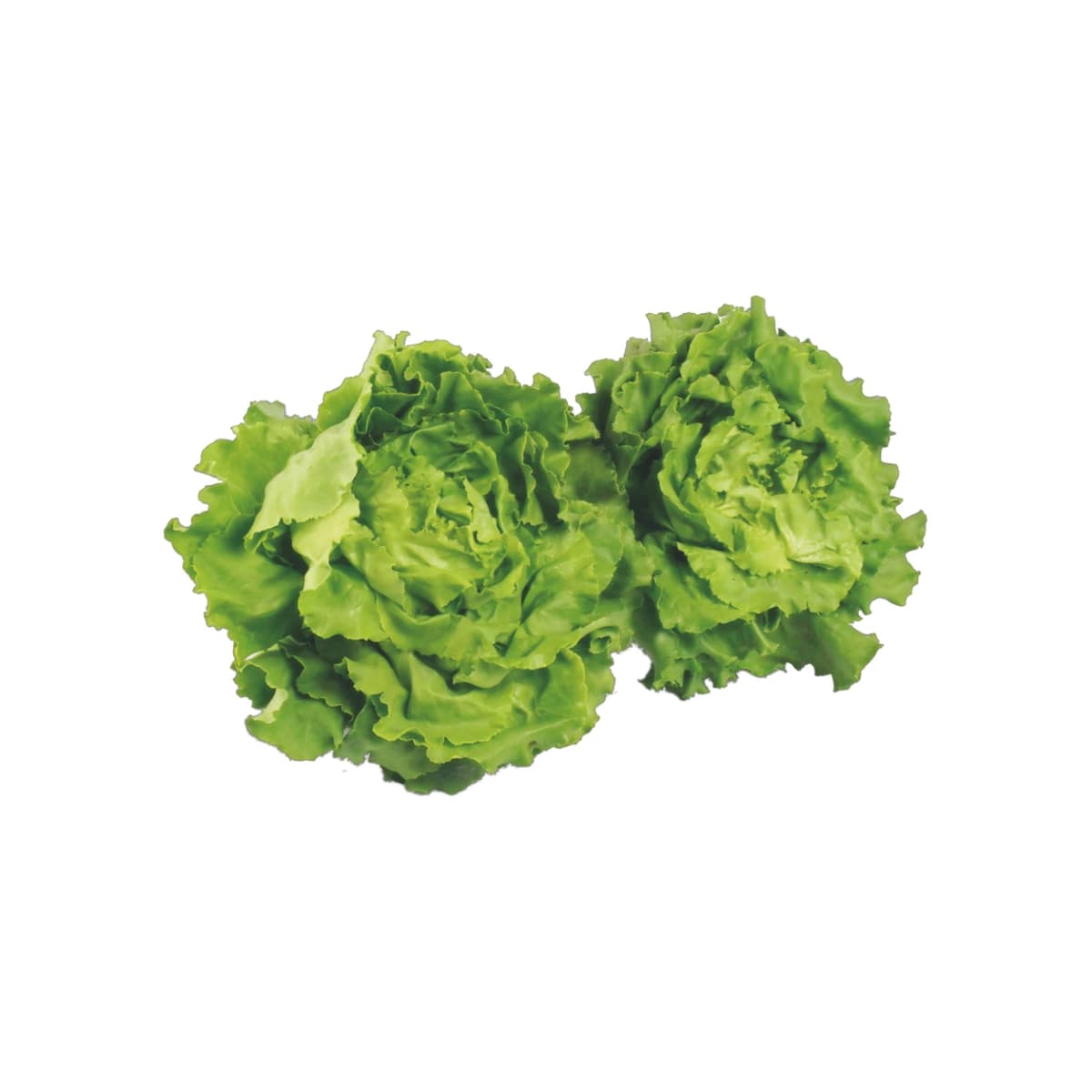 Häuptelsalat per Stück Angebot bei Adeg