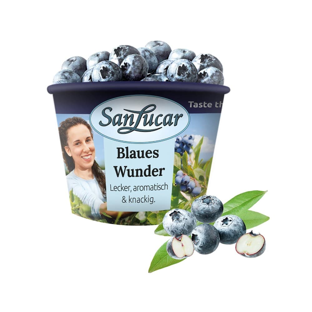 Heidelbeeren-Bowl, 150 g Packung – Billa Plus