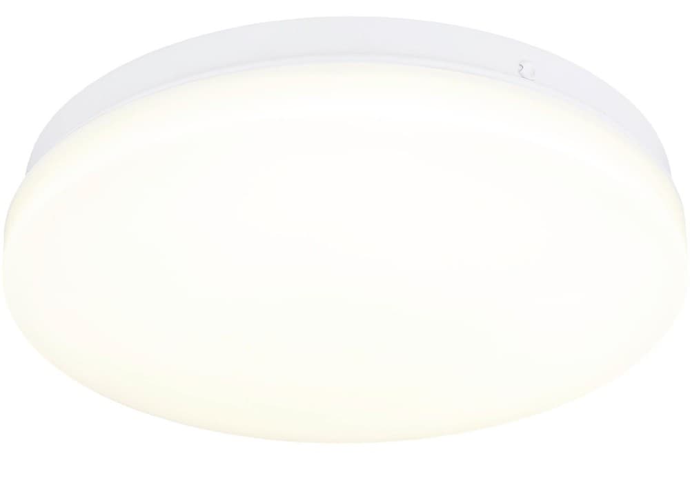 LED-Deckenleuchte Beni ØxH: ca. 26x6 cm Luca Bessoni Angebot bei Möbelix