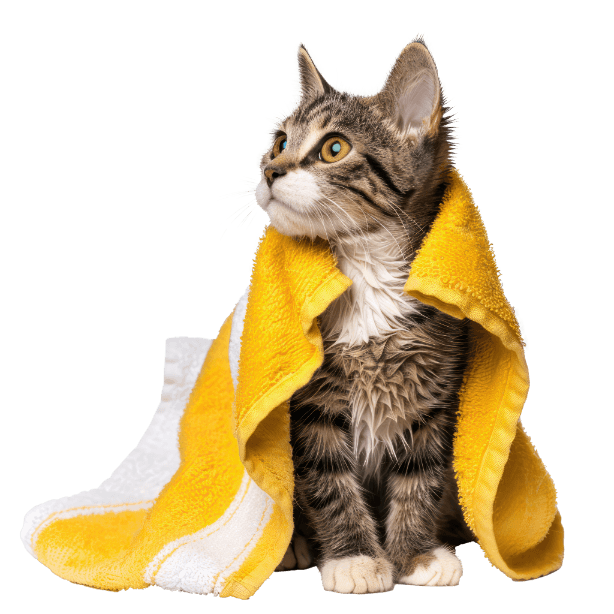 Kategorija proizvoda Katzenpflege