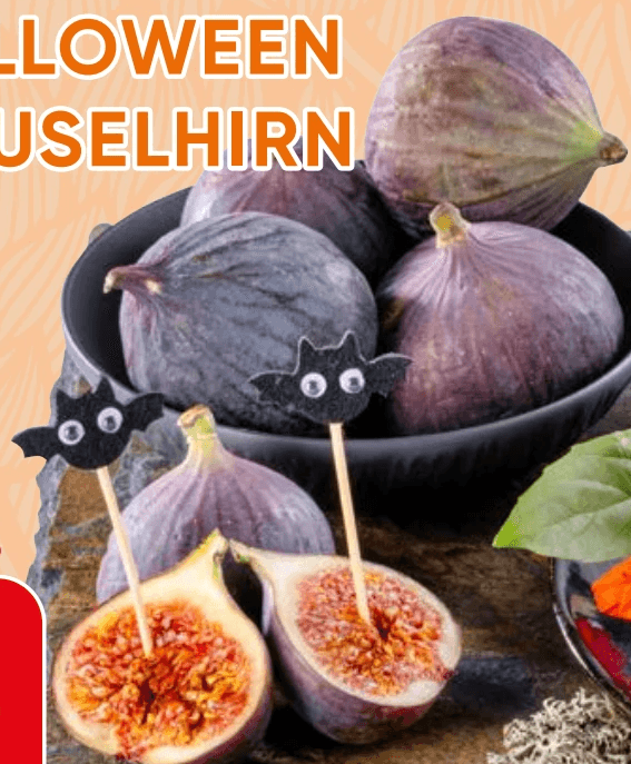 SPAR PREMIUM Feigen frisch, 4 Stk. – Spar