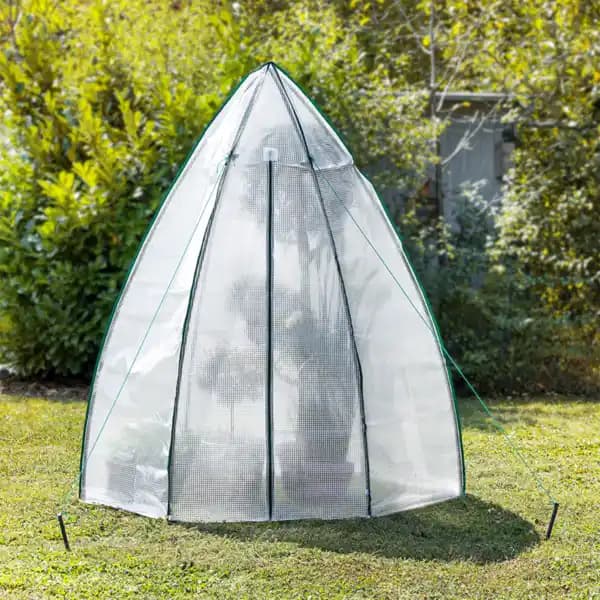 Power Garden Winter-Gewächshaus ca. 160x183 cm Angebot bei Norma