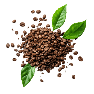Kategorija proizvoda Kaffee & Tee