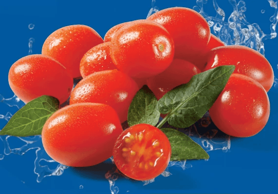 Dattelcherrytomaten 500 g Angebot bei Lidl