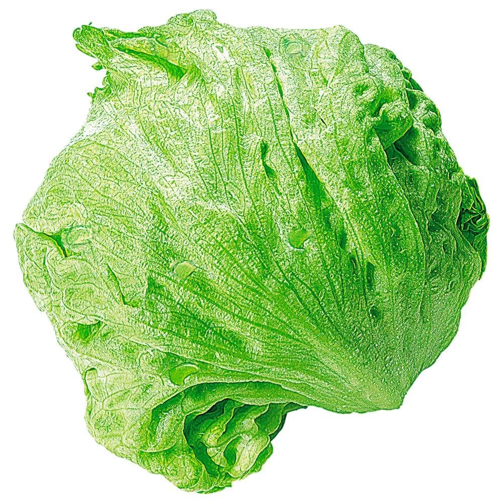 Eisbergsalat, 1 Stk. – Lidl