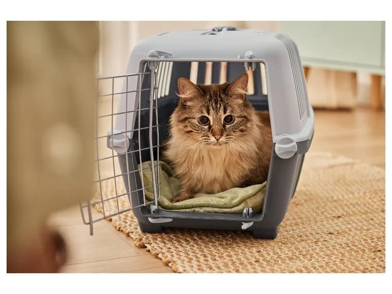 Katzentoilette/-transportbox zoofari Angebot bei Lidl