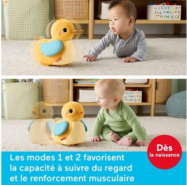Fisher-Price 4in1 Flap and Follow Duck – Maximarkt