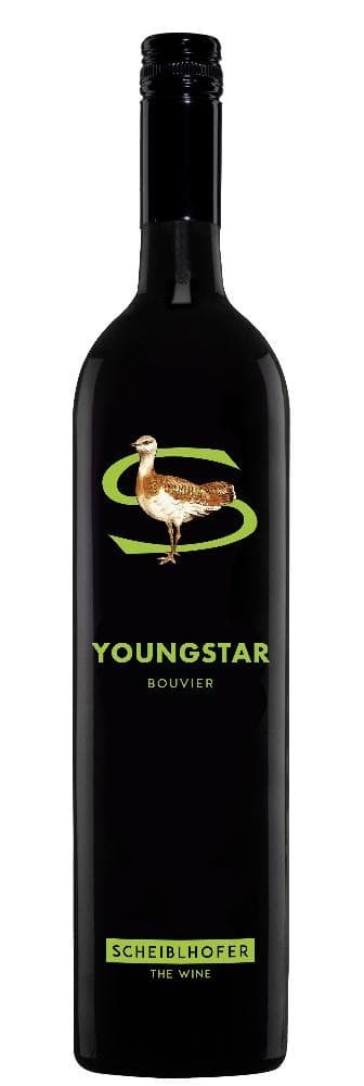 Scheiblhofer Youngstar 2026, 0,75 Liter Flasche – Billa Plus