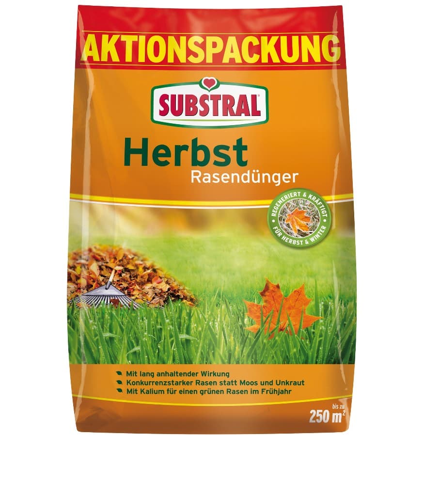 SUBSTRAL Herbst-Rasendünger, 6,25 kg – Bauhaus