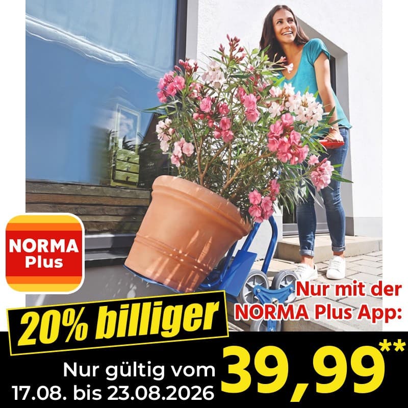 Sicherheitsgeprüfte Treppen-Transportkarre KRAFT Angebot bei Norma