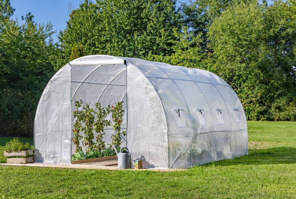 Garten & Freizeit Tunnelgewächshaus ca. 400x300x200 cm Angebot bei Norma