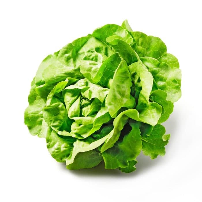 Häuptelsalat, per Stück Da komm' ich her! – Adeg