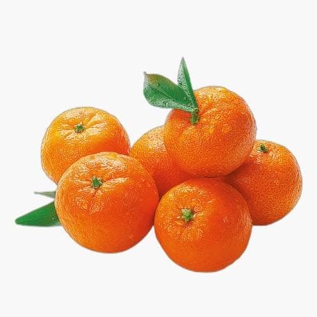 Clementinen mit Blatt, 2 kg HEMA – Norma