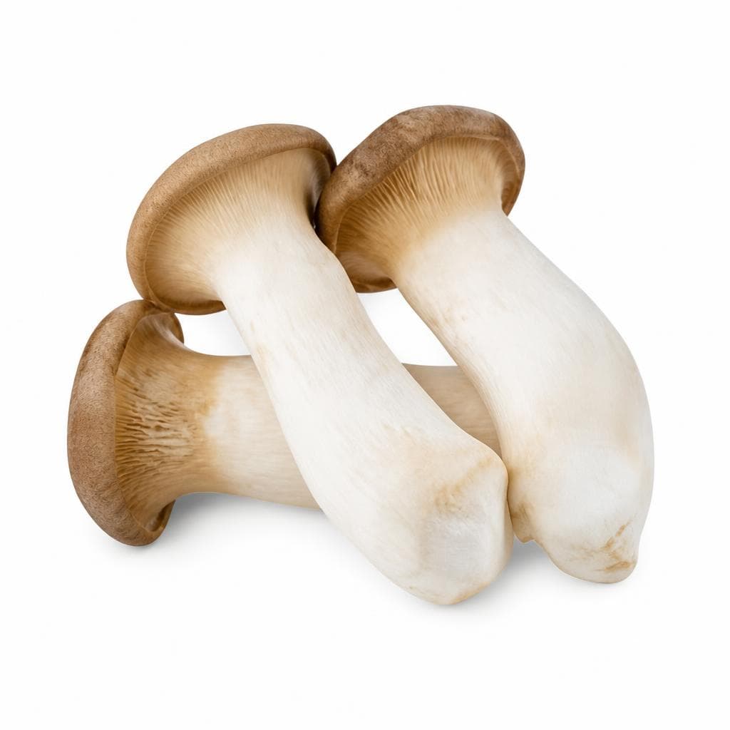 Bio-Kräuter-Seitlinge, 150 g – Hofer