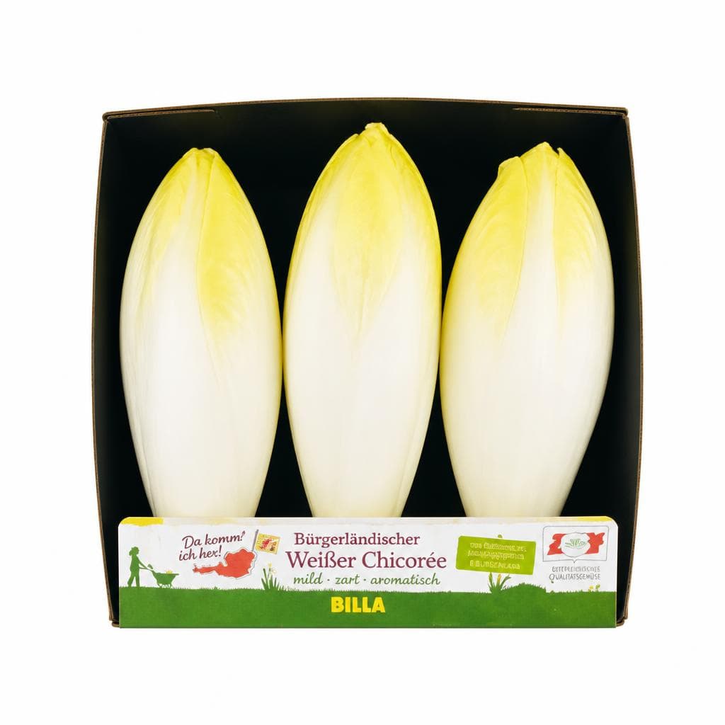 Chicorée weiß, 500 g Tasse – Billa Plus