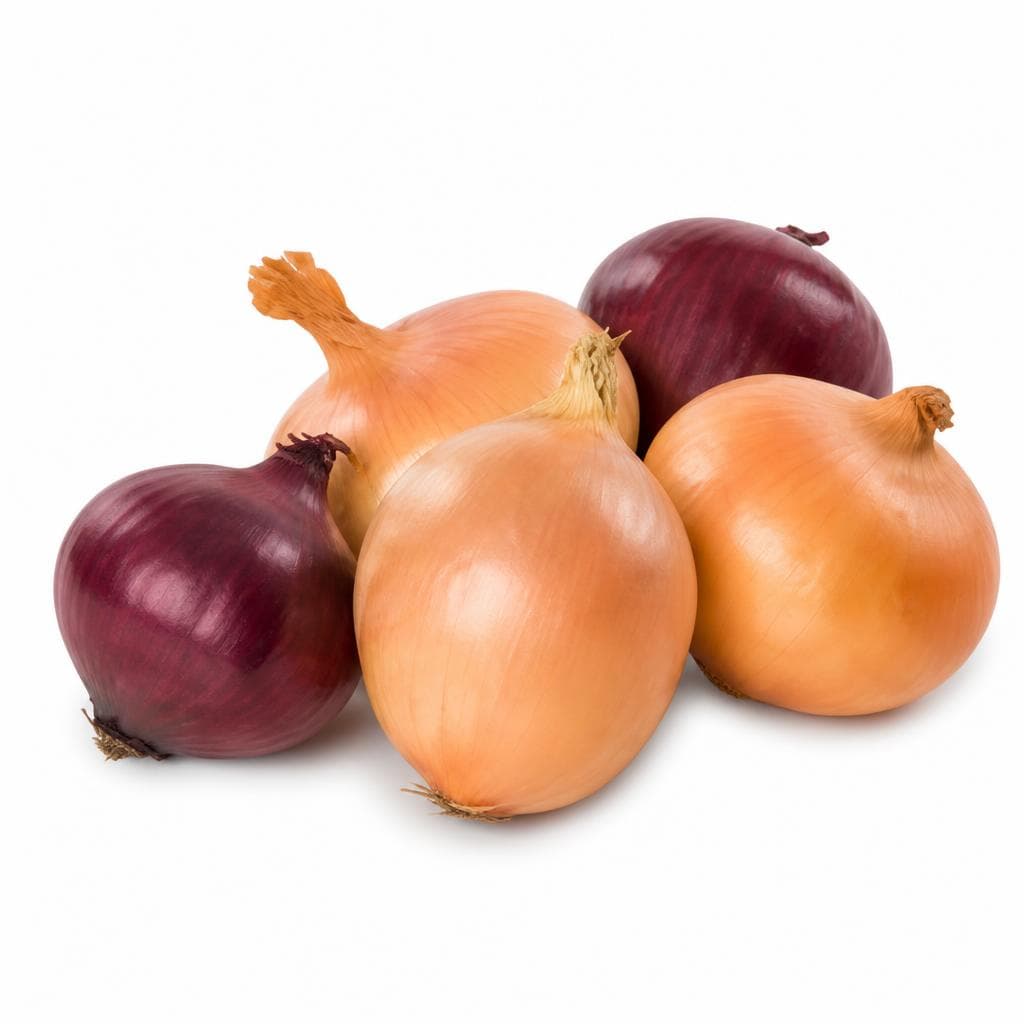 Zwiebeln Gelb/Rot, 2 kg/1 kg – Hofer