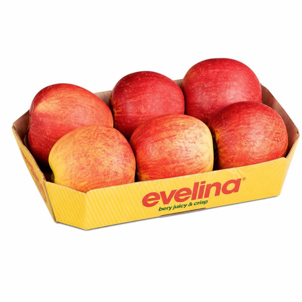 Apfeltasse "Evelina", pro kg – Penny