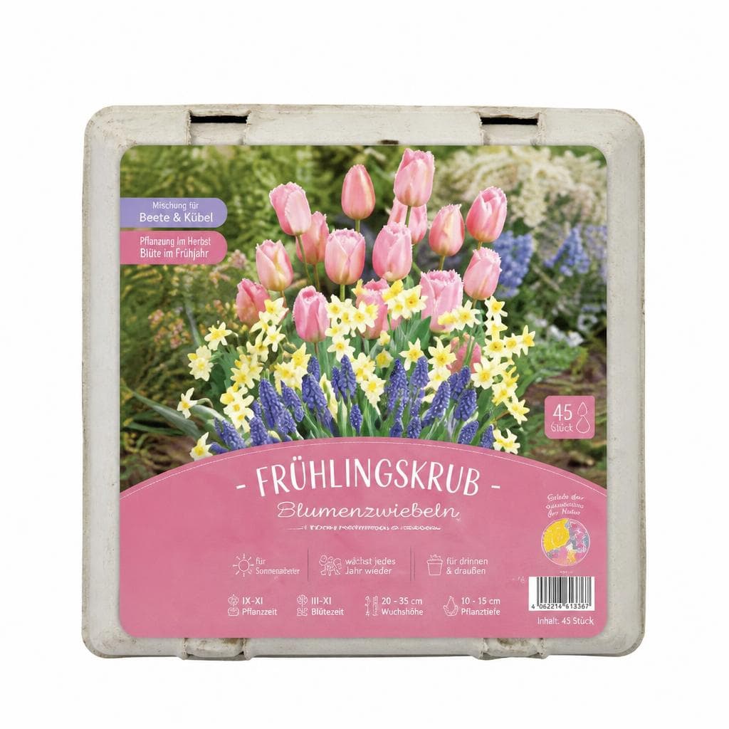 Blumenzwiebeln im Eierkarton Dom Samen – Interspar