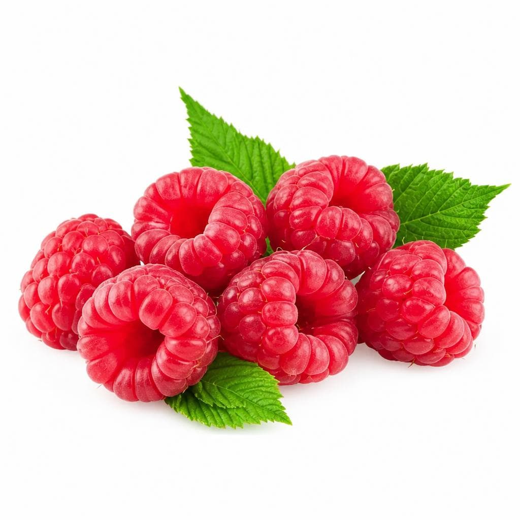 Himbeeren 125 g Tirol Angebot bei MPREIS