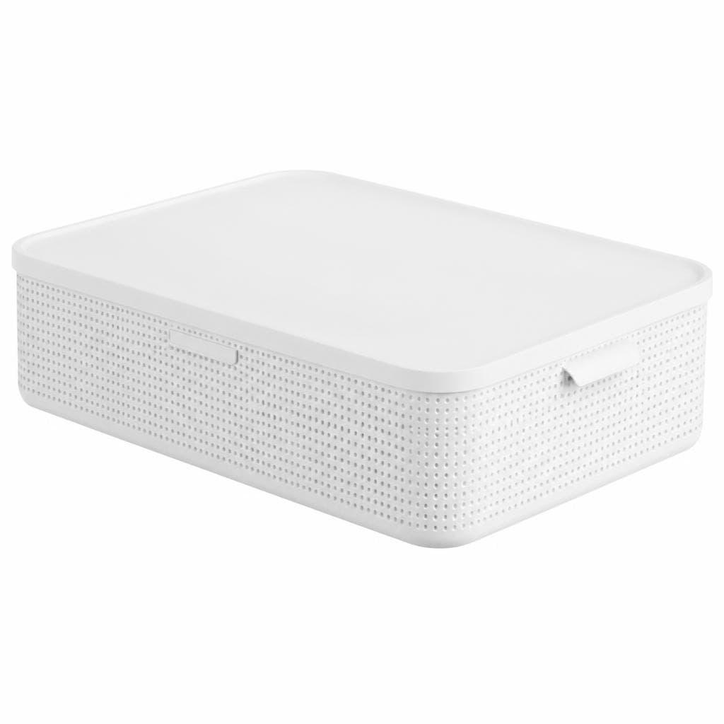 Rotho Box mit Deckel M Angebot bei Interspar