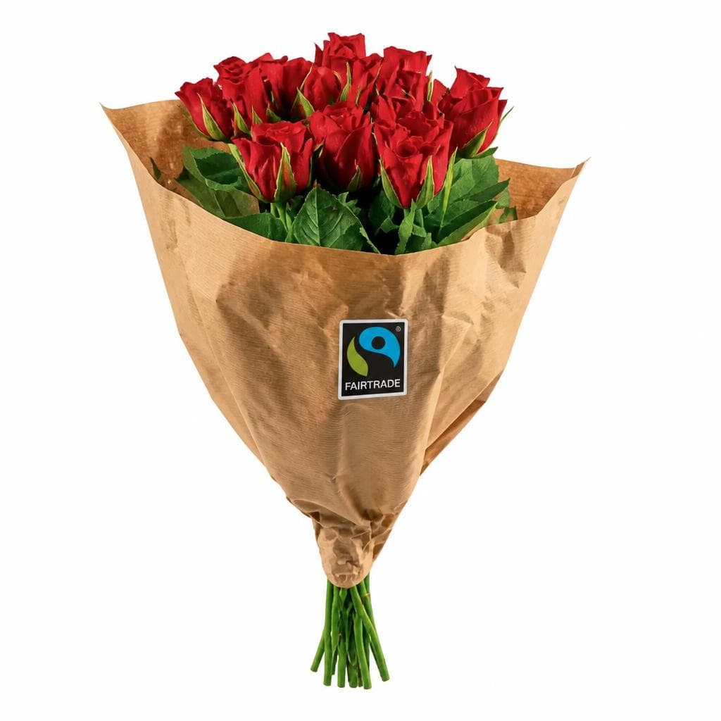 Fairtrade-Rosen, 10 Stiele – Penny