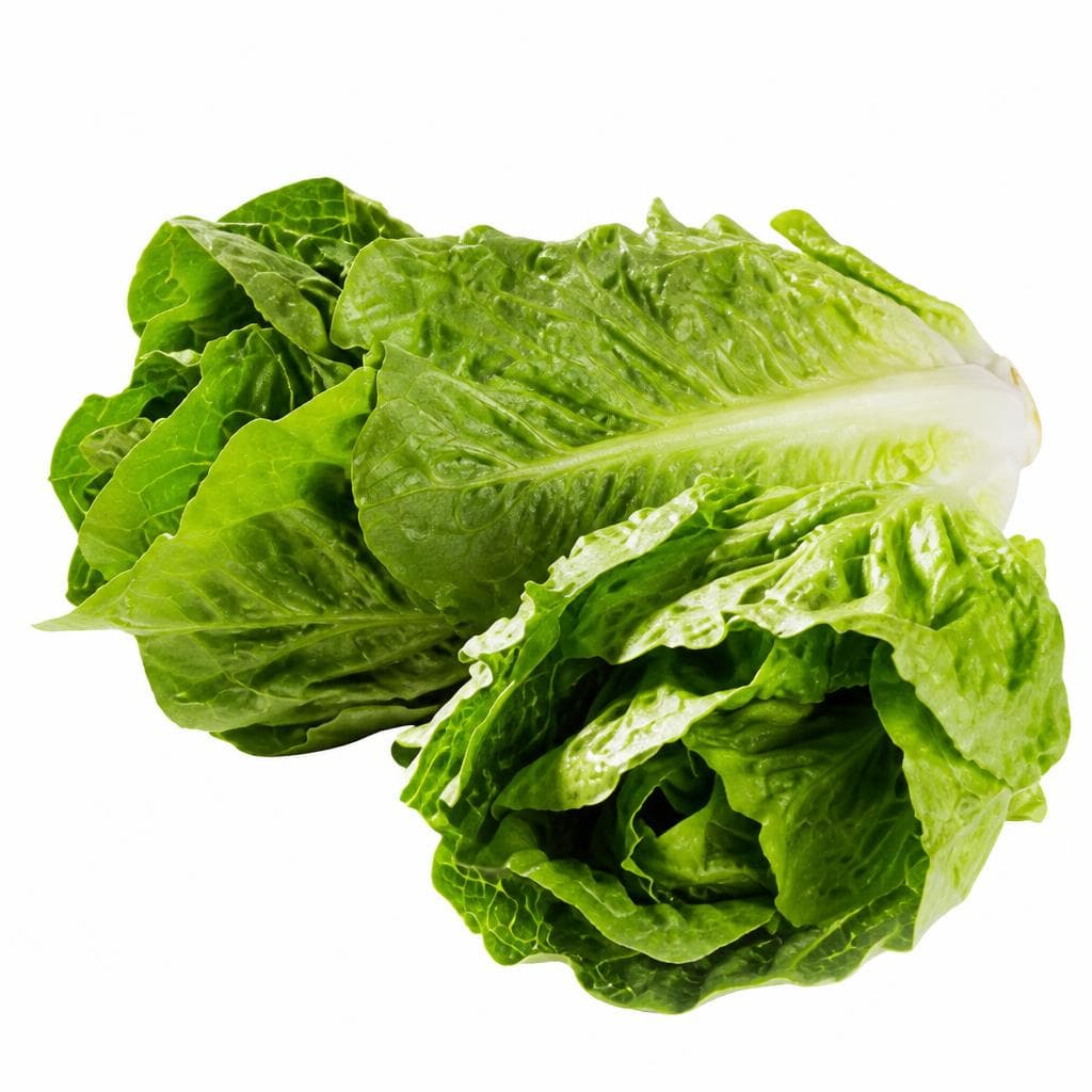 Salatherzen, 2 Stk. – Lidl