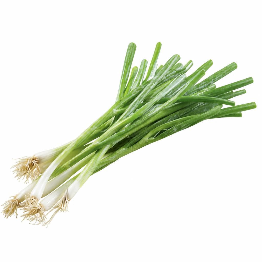 Jungzwiebeln, 1 Bund – Lidl