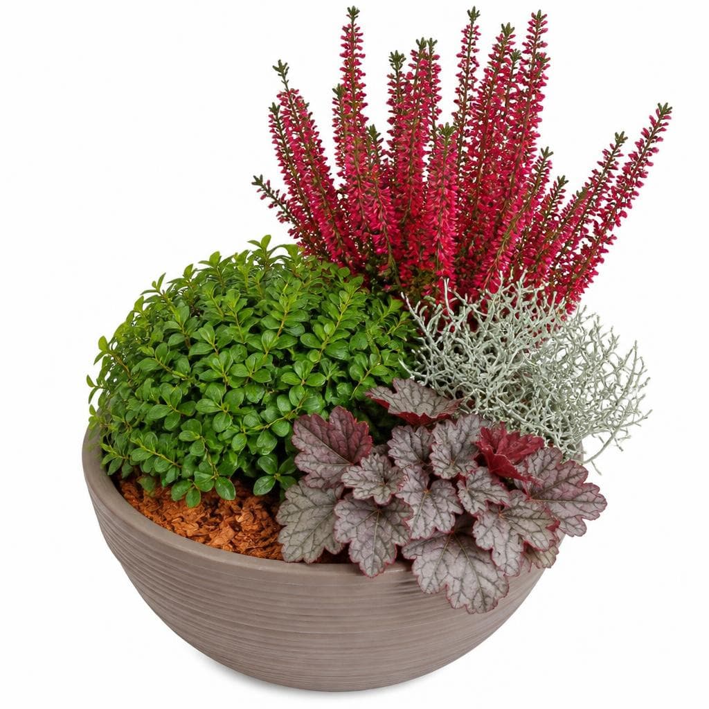 Herbstschale, 25-cm-Topf – Bauhaus