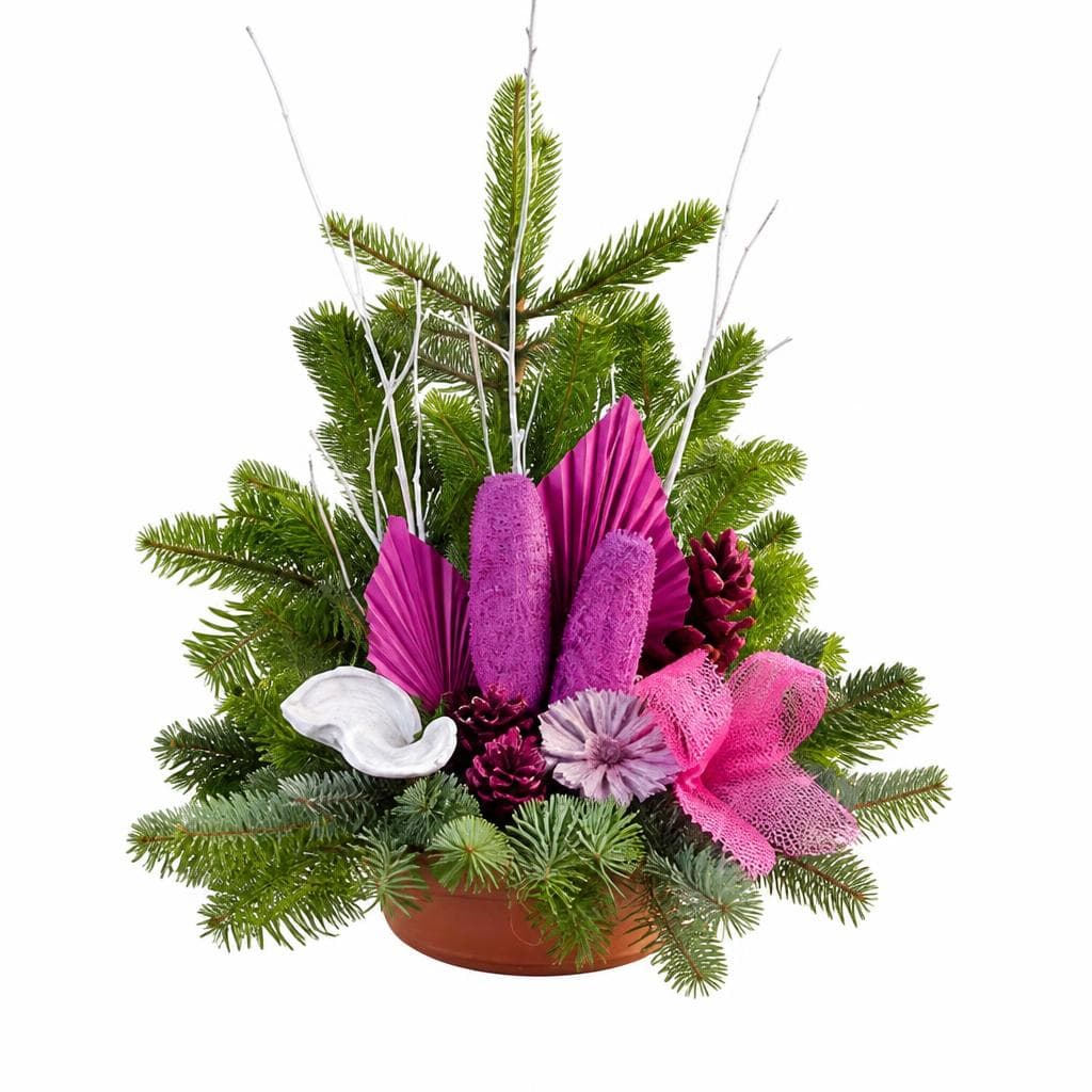 Exklusive Grabschale – Norma