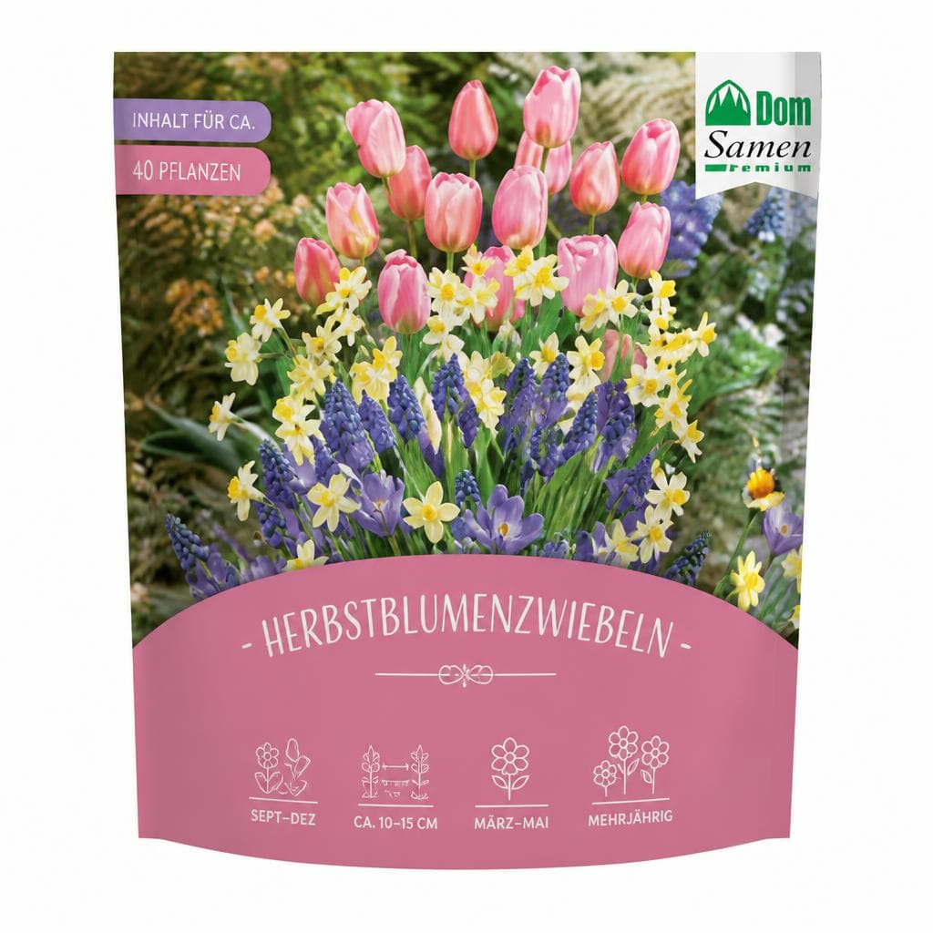 Herbstblumenzwiebeln Dom Samen Premium – Interspar
