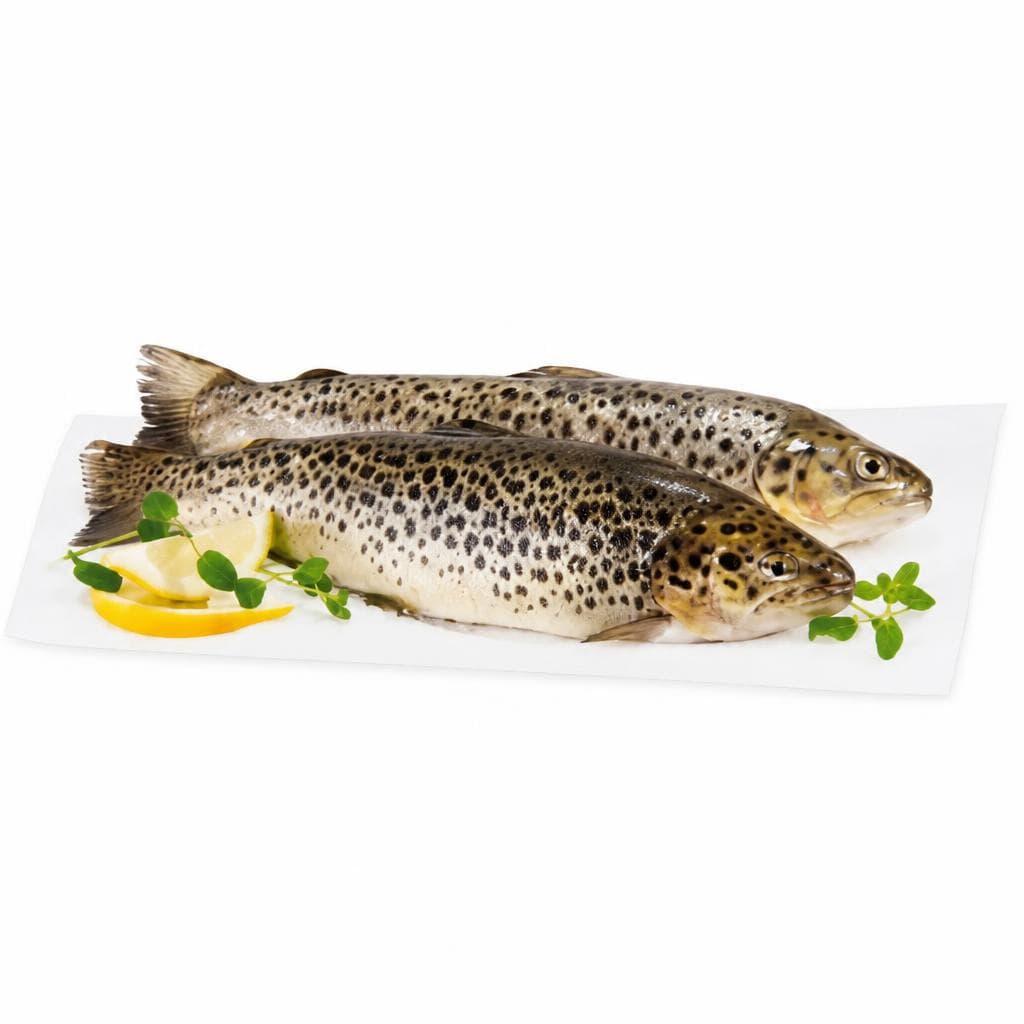 Seeforelle Kärntna Låxn, 100 g Fischzucht Payr – Interspar