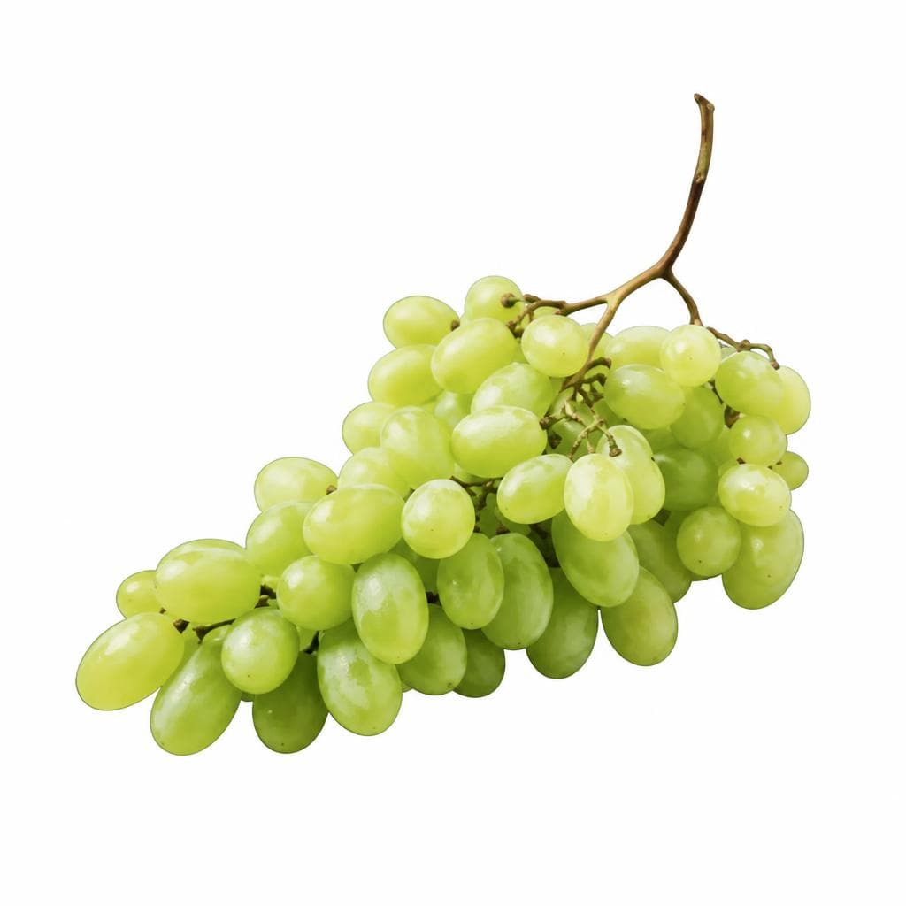 Trauben 500 g Angebot bei Penny