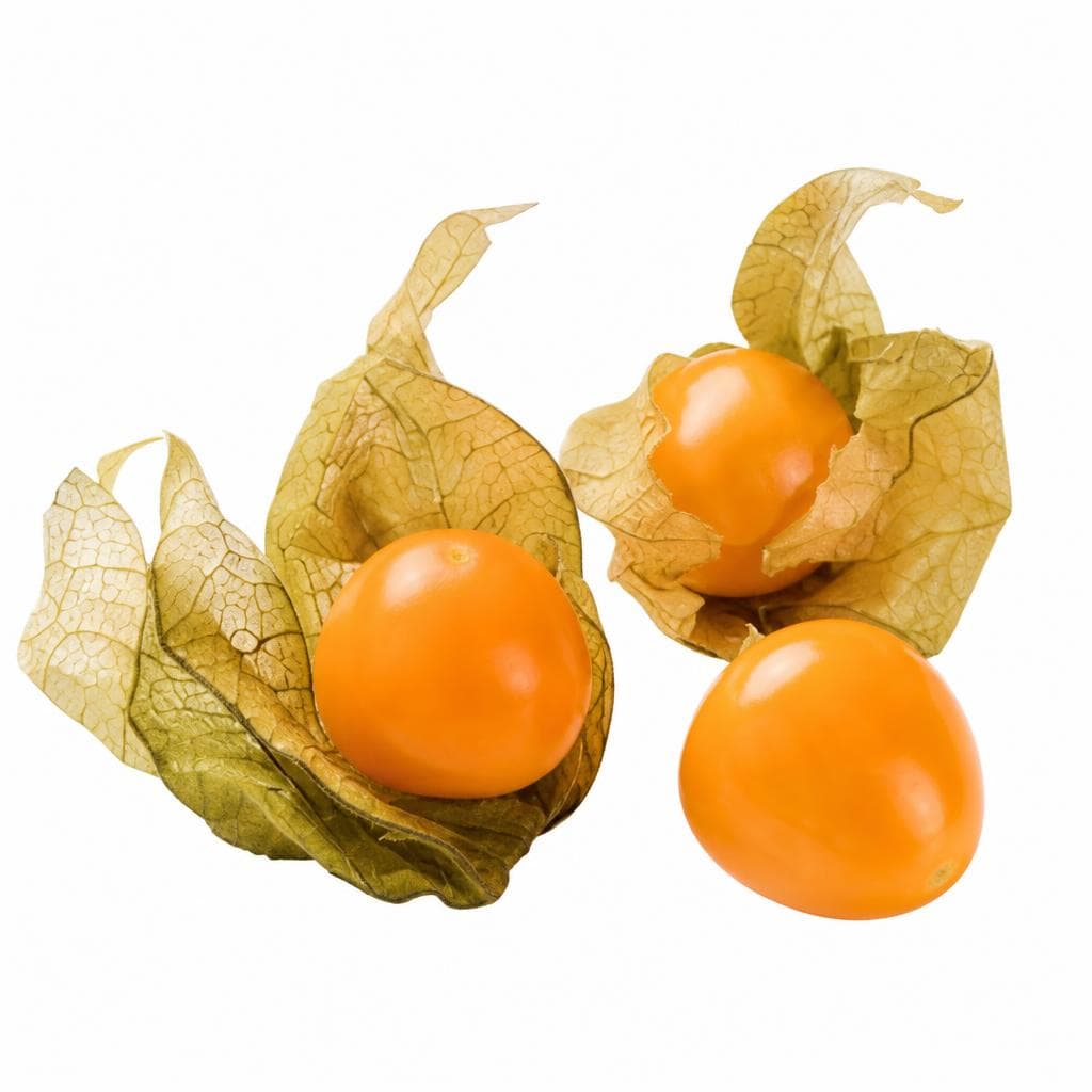 Physalis 100 g Angebot bei Lidl