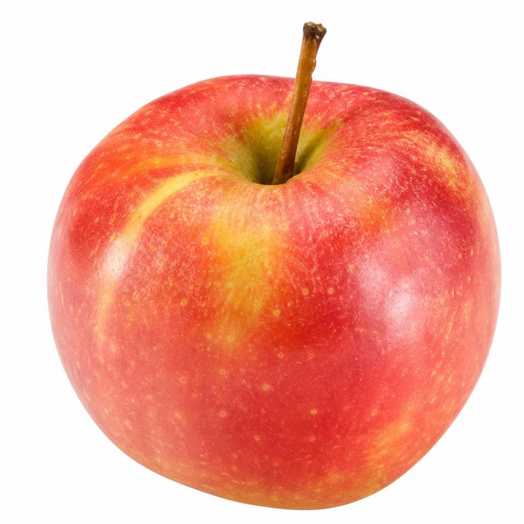 Apfel Elstar – Spar