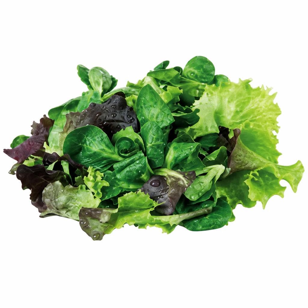 Bio-Pflücksalat, 125 g Hofer Marktplatz – Hofer