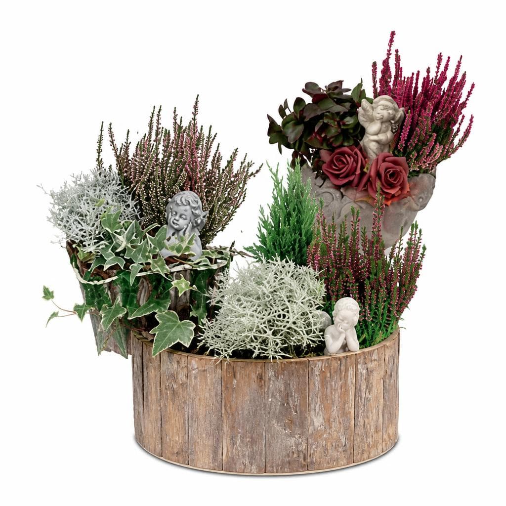 Bepflanztes Grabarrangement – Hofer
