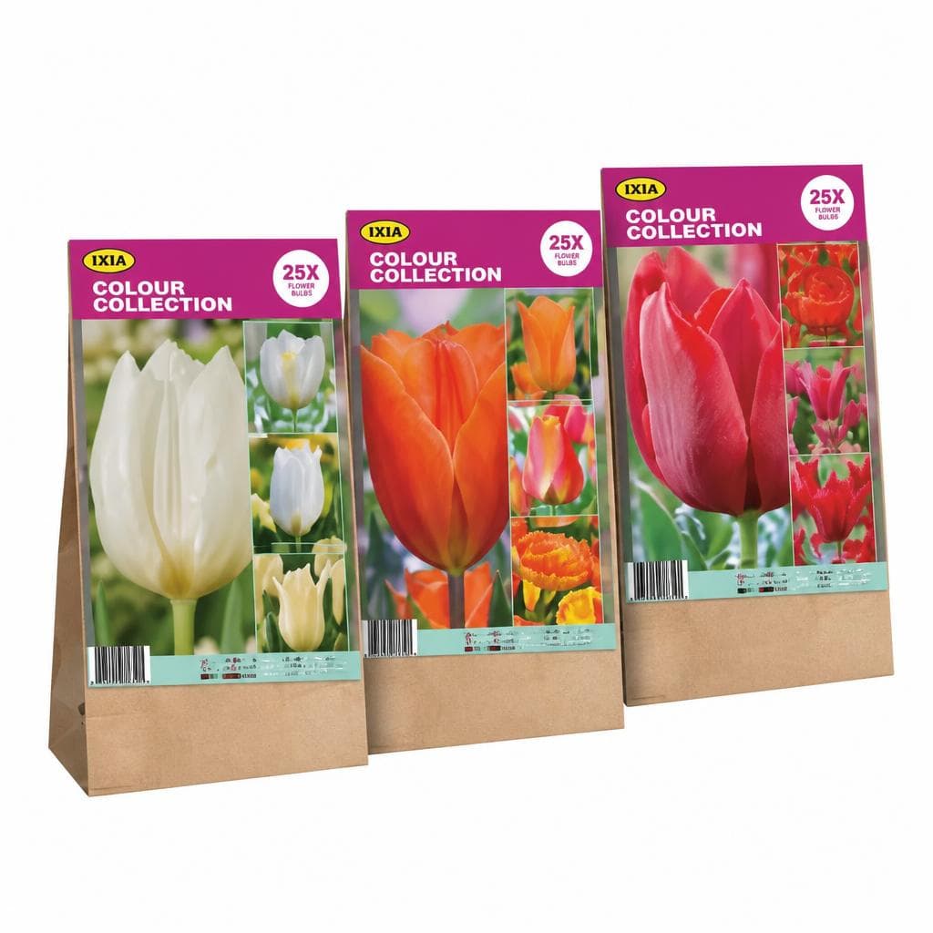 Frühjahrsblumenzwiebeln Kollektion Ca. 25-30 Zwiebeln Angebot bei Lidl