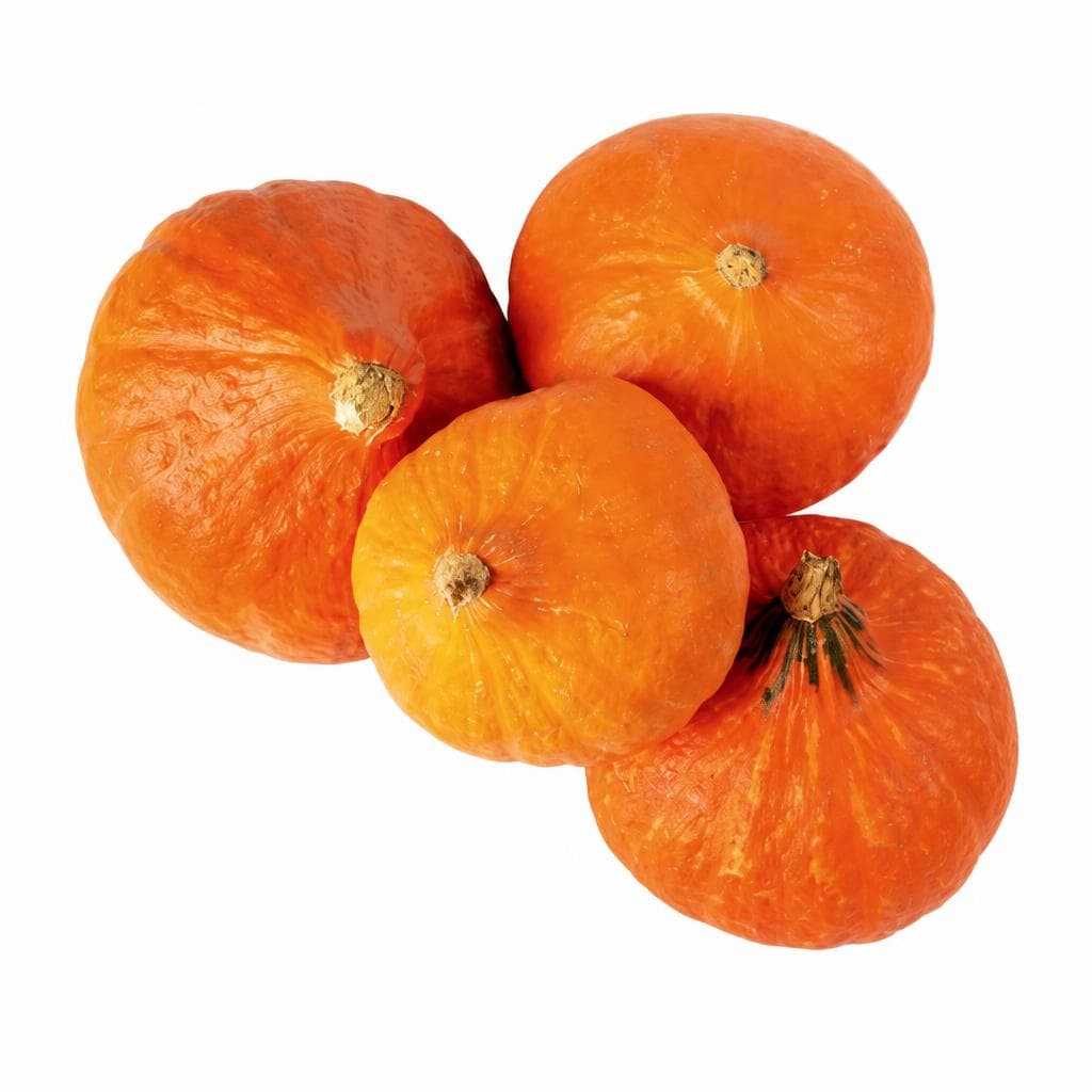 Bio-Kürbis Zurück zum Ursprung Angebot bei Hofer