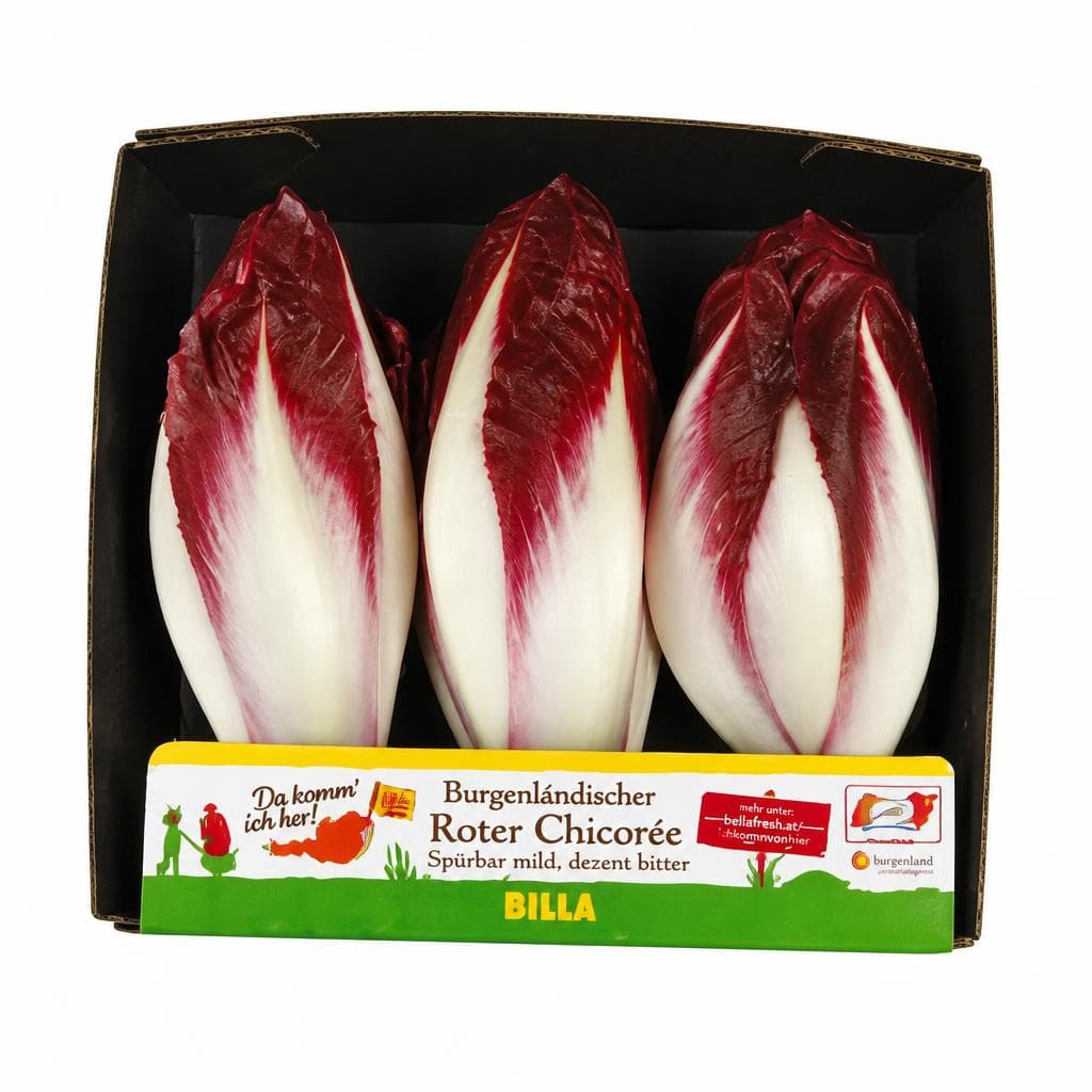 Chicorée rot, 300 g Tasse – Billa Plus